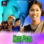 Kudi Poda
