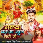 Melwa Bauaa Bhula Gelo Ji