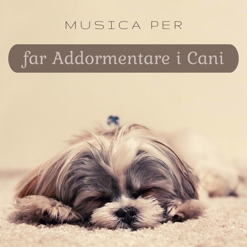 Musica per far addormentare i cani - Musica rilassante con suoni della natura