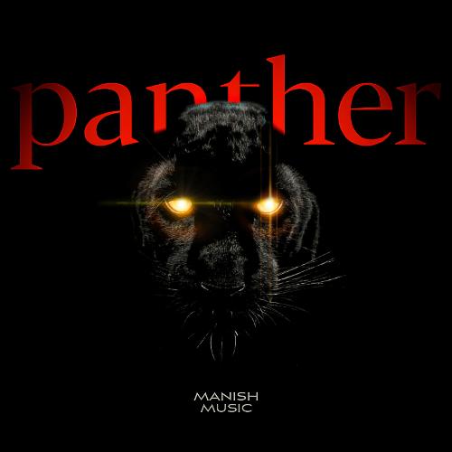 Panther_poster_image