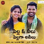 Pilla O Neelu Pilaga Anilu