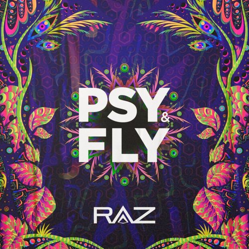 Psy & Fly_poster_image