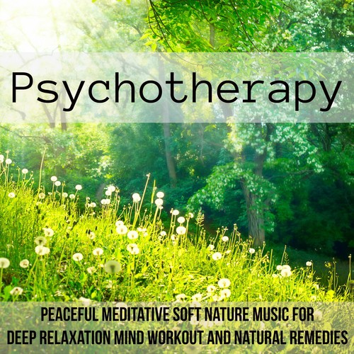 Psychotherapy - Peaceful Meditative Soft Nature Music for Deep Relaxation Mind Workout and Natural Remedies_poster_image