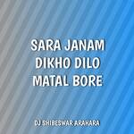 Sara Janam Dikho Dilo Matal Bore