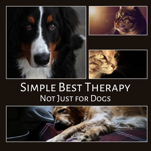 Pet Therapy cover art