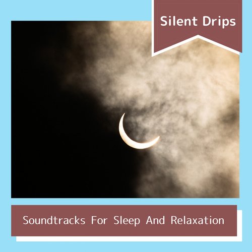 Silent World cover art