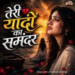 Teri yaado ka samander