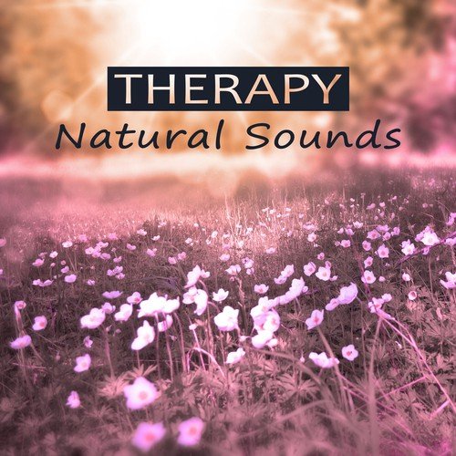 Therapy Natural Sounds - Calm Nature Sounds, Hypnosis, Deep Sounds for Sleep, Hypnotic Therapy, Quit Smoking, Ocean Waves