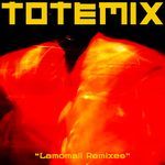 Secret Garden (Chambord Remix)