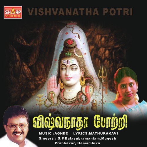 Viswanatha Potri
