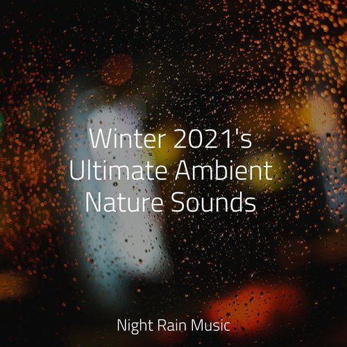 Winter 2021's Ultimate Ambient Nature Sounds