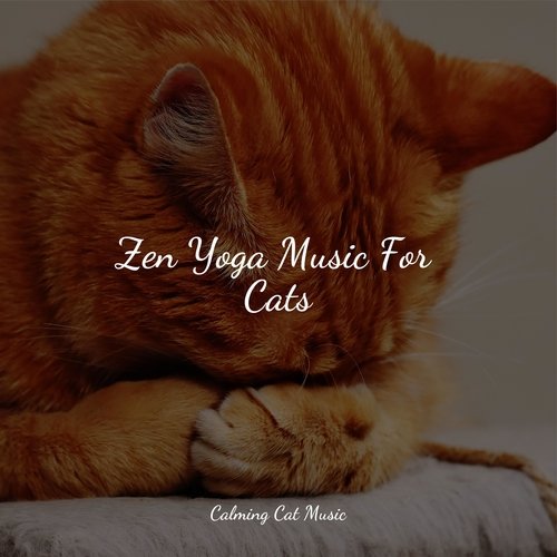 Zen Yoga Music For Cats