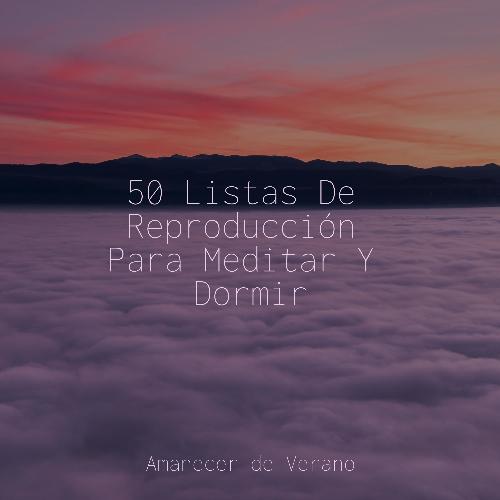 50 Listas De Reproducción Para Meditar Y Dormir