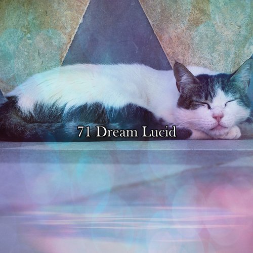 71 Dream Lucid