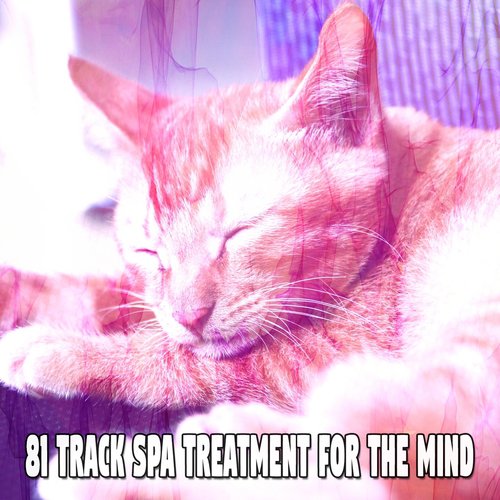 81 Track Spa Treatment For The Mind