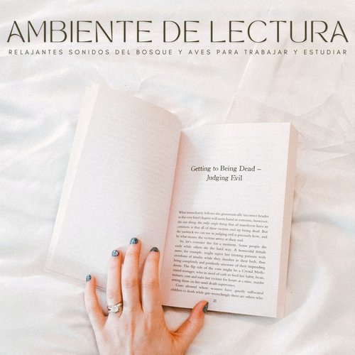Enfocada Plenamente cover art