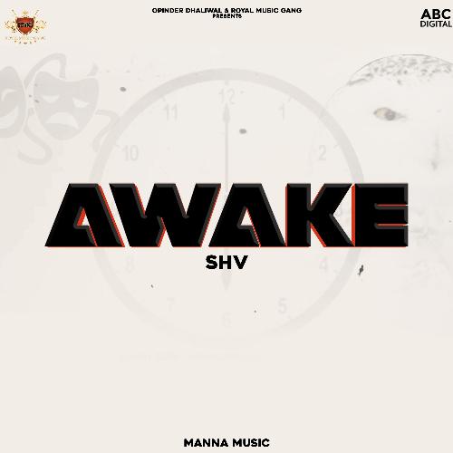 Awake_poster_image