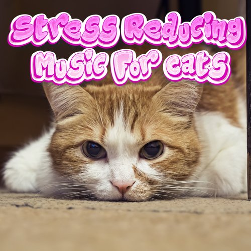 Cat Music Therapy cover art