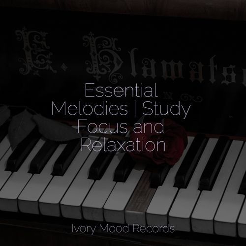 Sandcastle Symphony cover art