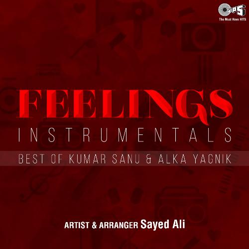 Feelings Instrumentals: Best Of Kumar Sanu & Alka Yagnik