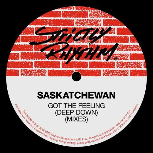 Got The Feeling (Skat Litter Bug Out Mix)