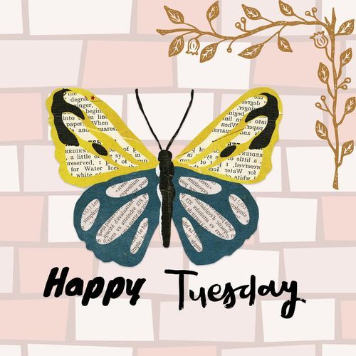 Happy Tuesday
