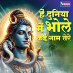Hey Duniya Mai Bhole Kai Naam Tere