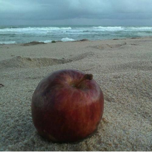 Jacob cover art