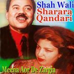 Meena Aor De Zargia