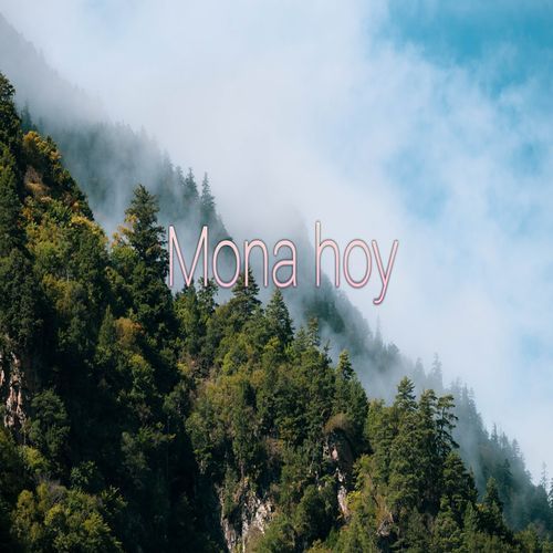 Mona hoy
