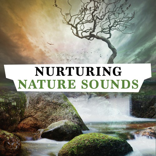 Nurturing Nature Sounds_poster_image