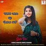 Paraya Khatar Dur Potana Kariya