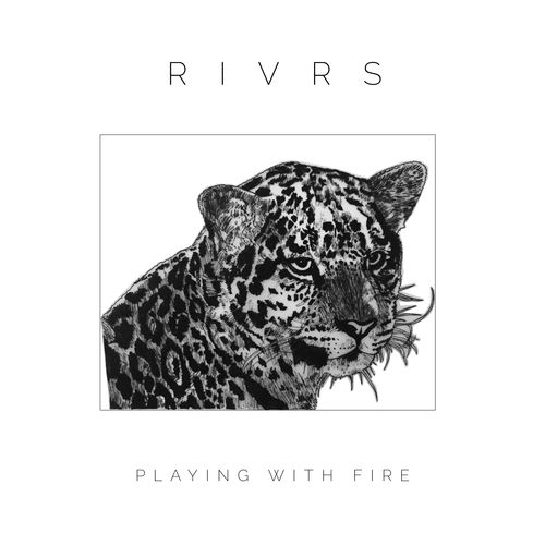 Playing with Fire cover art
