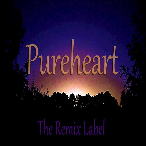 Pureheart (Paduraru Inspiring House Music Mix) cover art