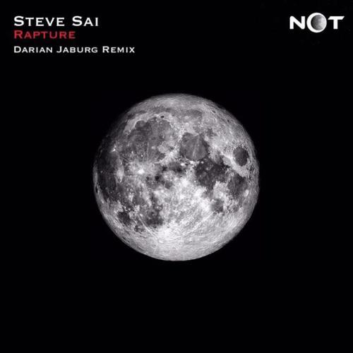 Rapture (Darian Jaburg Remix) cover art