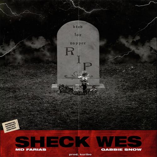 Sheck Wes (feat. Gabbie Snow) cover art