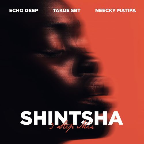 Shintsha (feat. Neecky Matipa) (3 Step Mix)