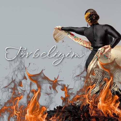 Şeyh Bedrettin cover art