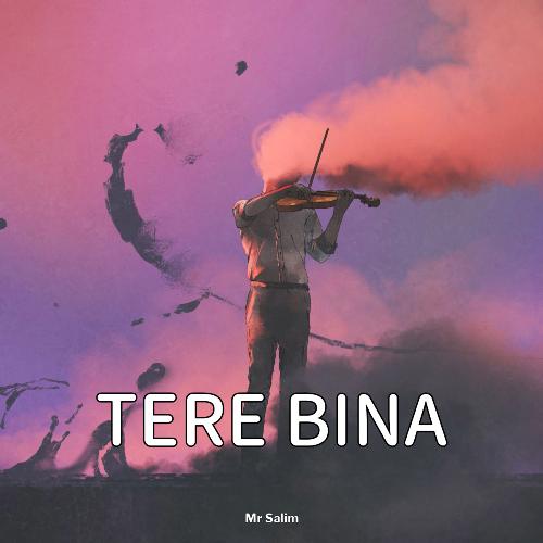 Tere Bina