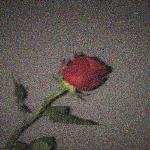 Sath Tu Rahe (feat. H3 Music)