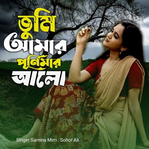 Tumi Amar Adar Ghorer Purnimar Alo