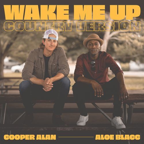 Wake Me up (Country Version)_poster_image