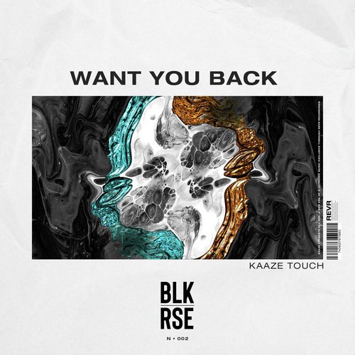 Want You Back (KAAZE Touch)_poster_image