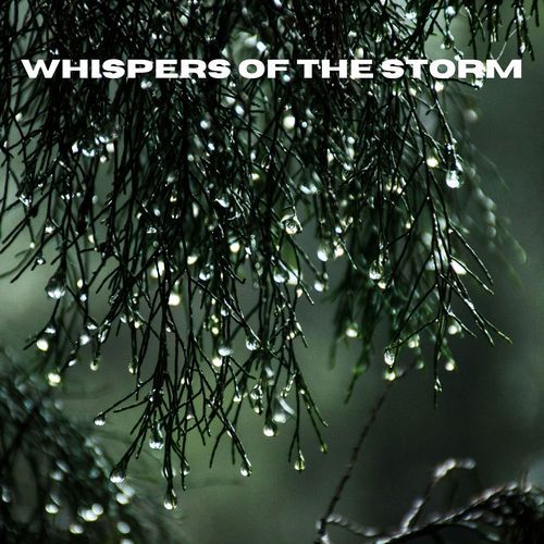 Whispers of the Storm_poster_image