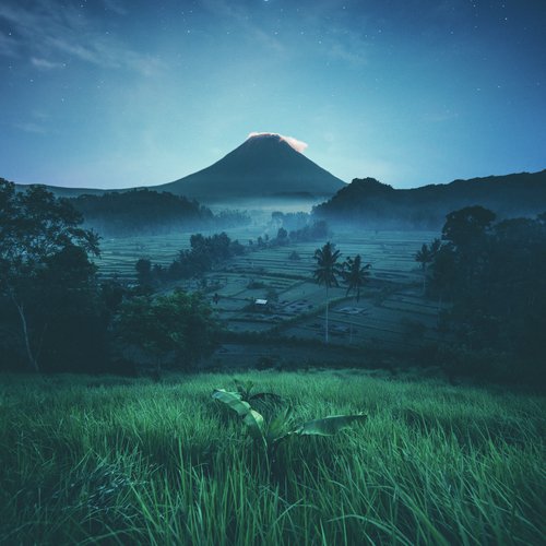 Calm cover art