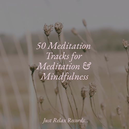 50 Meditation Tracks for Meditation & Mindfulness_poster_image