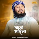 Amar mon pagla hoiche go Jabo Madina