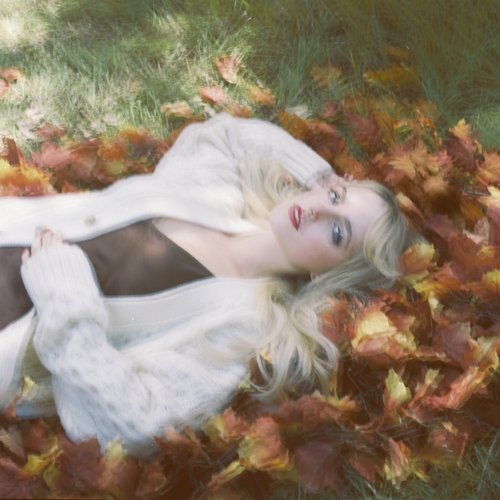 Autumn Leaves_poster_image