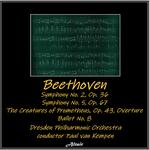 Symphony NO. 2 in D Major, Op. 36: I. Adagio Molto - Allegro Con Brio