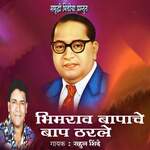 Bhimrao Bapche Bap Tharale